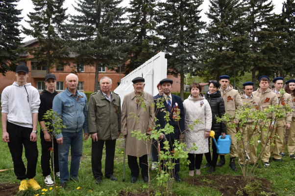 В Щекино высадили &quot;Сирень Победы&quot;.