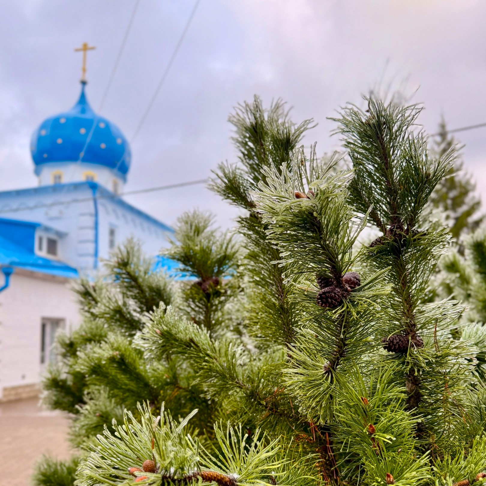 С праздником Благовещения Пресвятой Богородицы!.