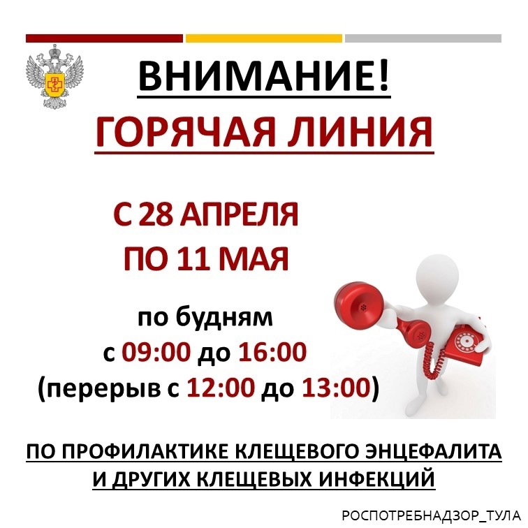 В Тульской области работает горячая линия по профилактике клещевого энцефалита.