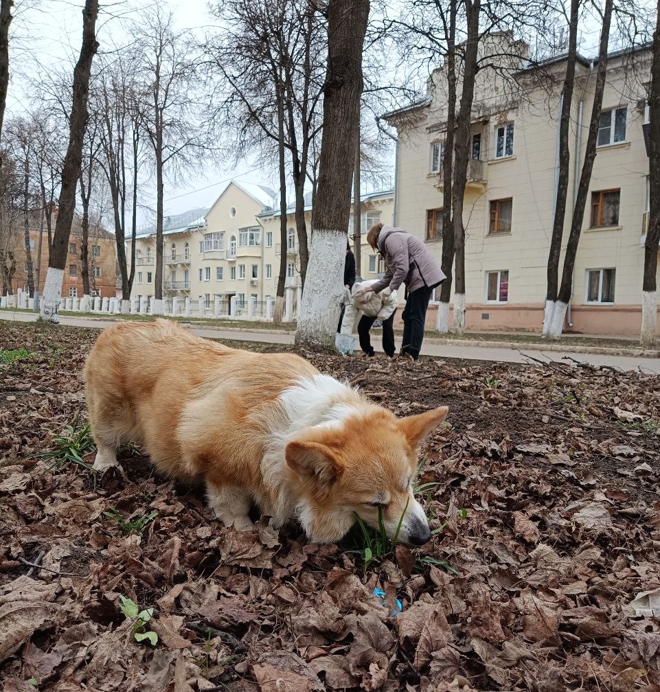 Время добрых дел.