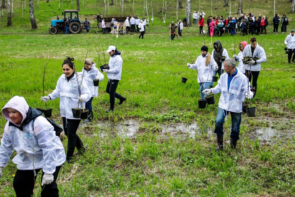 Сотрудники «Щекиноазота» провели в Ясной Поляне ежегодную экологическую акцию и высадили деревья.