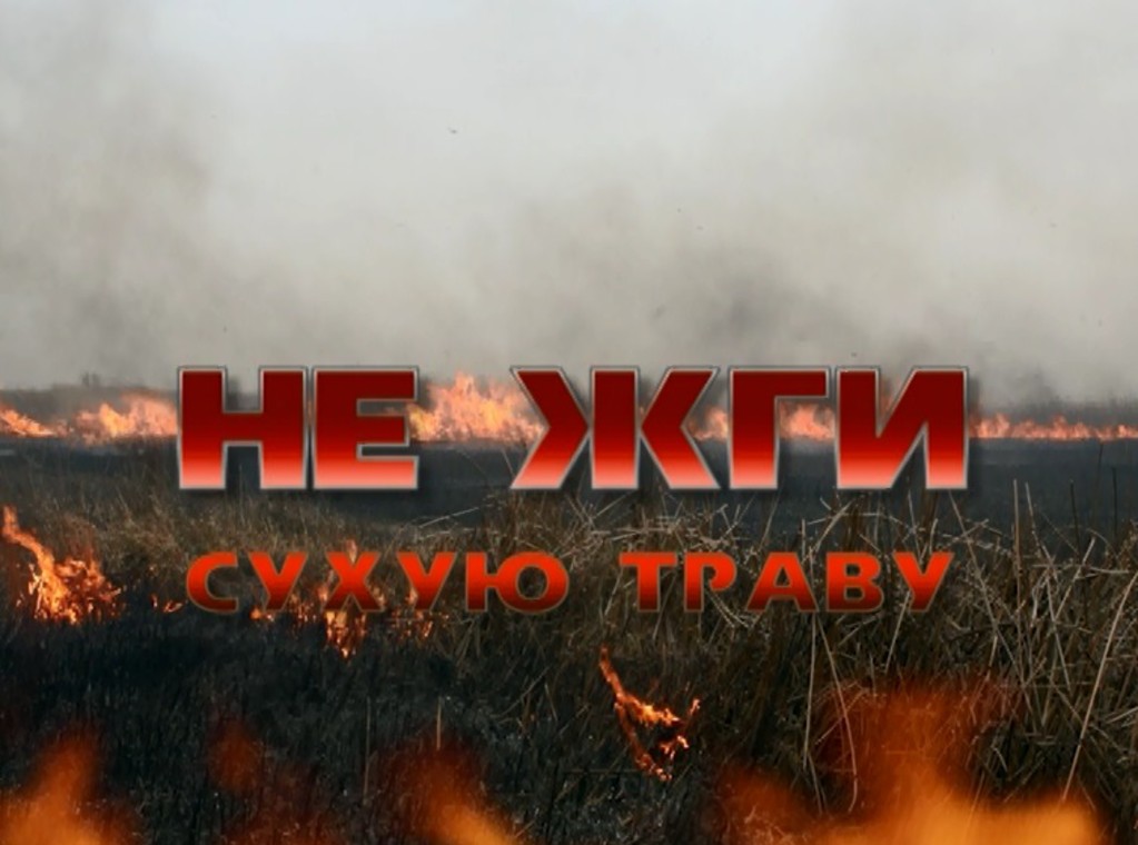 Не жги сухую траву!.