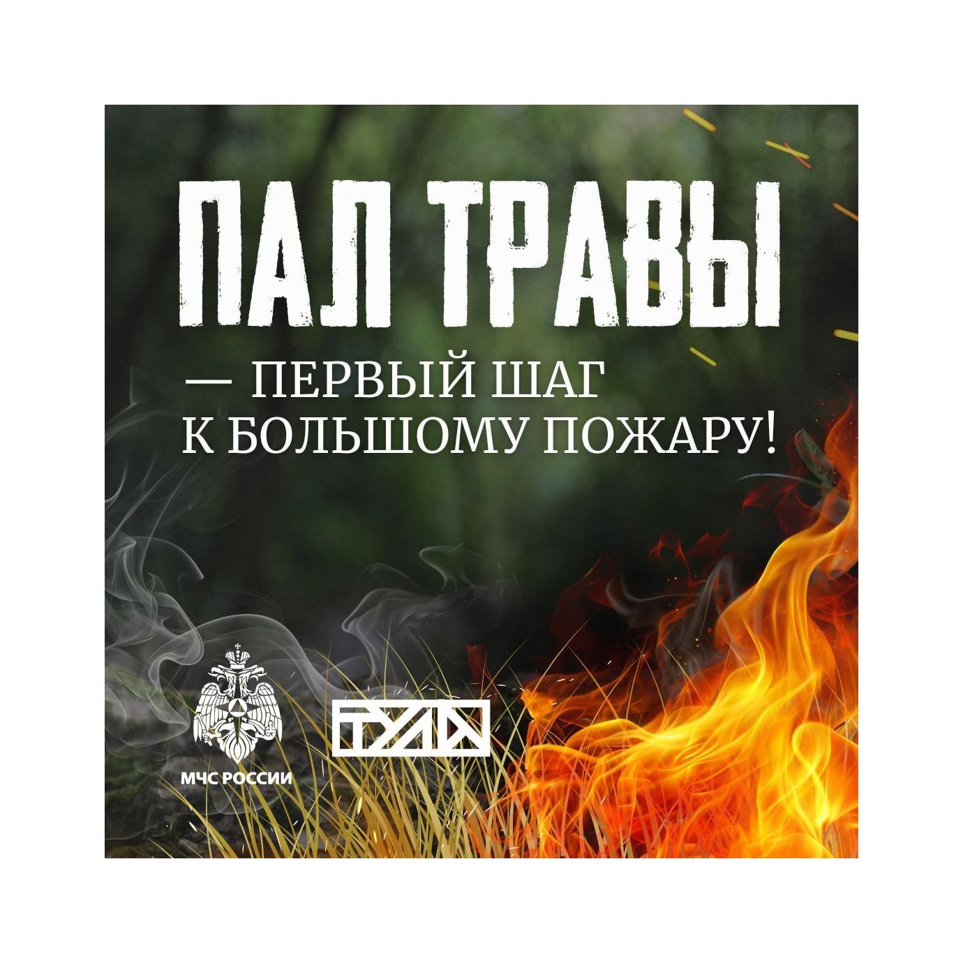 Берегите природу: пал травы опасен для всех!.