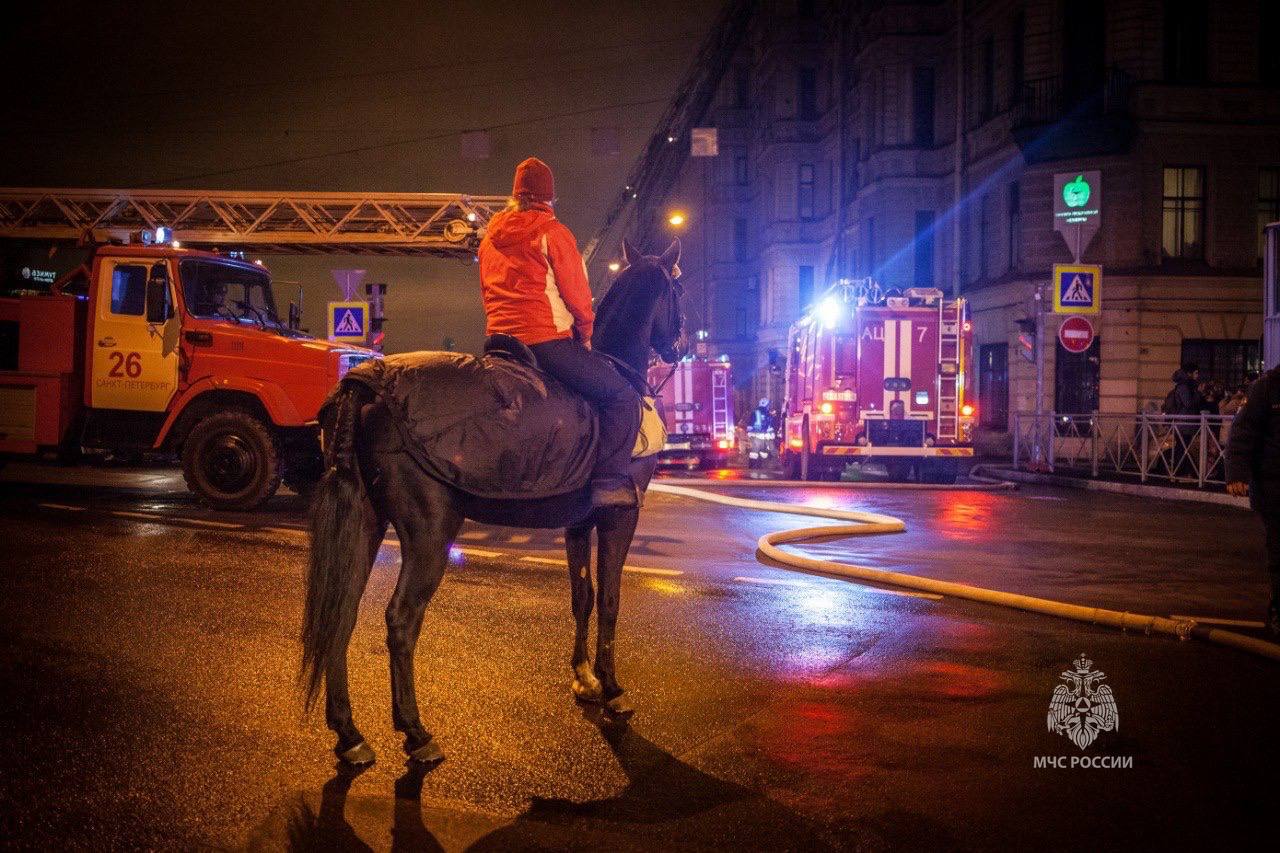 🔔МЧС России по праву: должен ли очевидец помогать тушить пожар?.