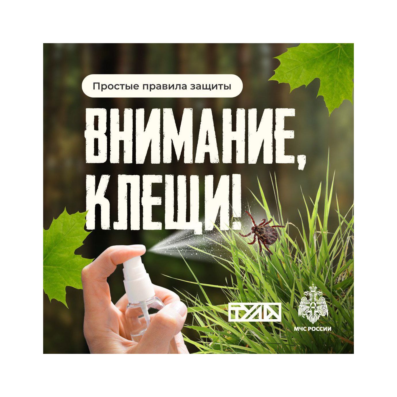 Внимание, клещи!.
