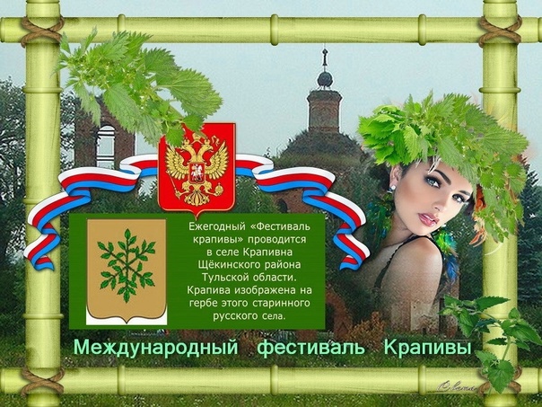 Временные ограничения движения в с. Крапивна в день проведения фестиваля Крапивы.