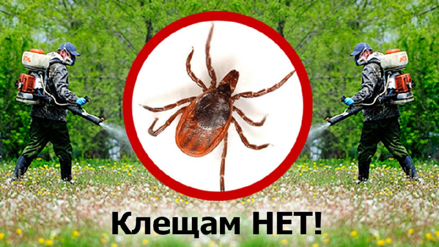 Акарицидная обработка.