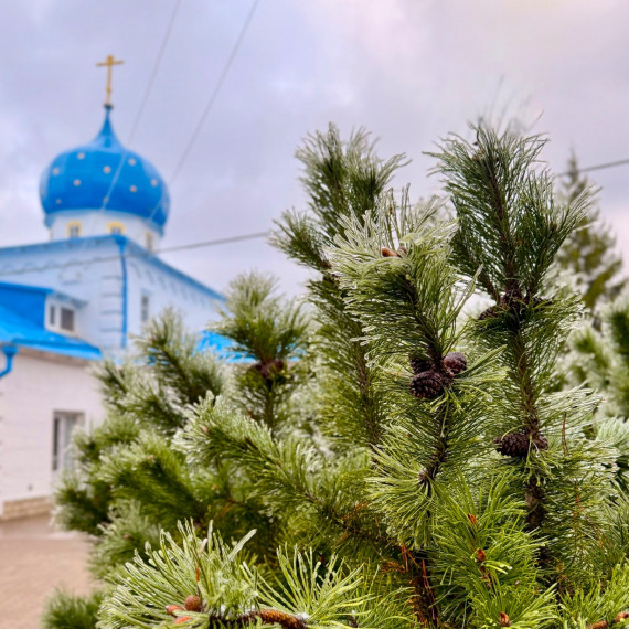 С праздником Благовещения Пресвятой Богородицы!. С праздником Благовещения Пресвятой Богородицы!.
